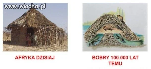 Technologia