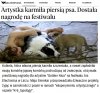 Świat się kończy ...