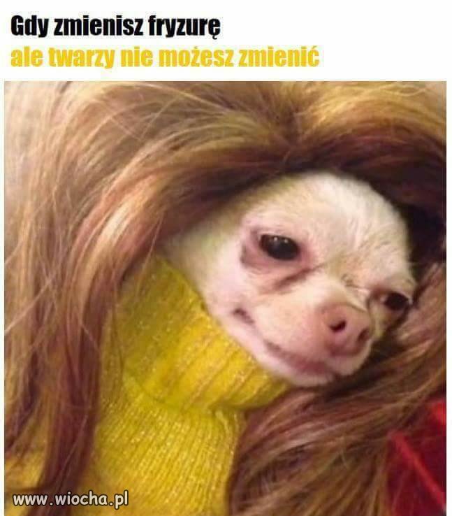Kiedy zmienisz fryzurę 