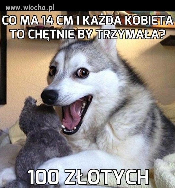 Co ma 14 cm