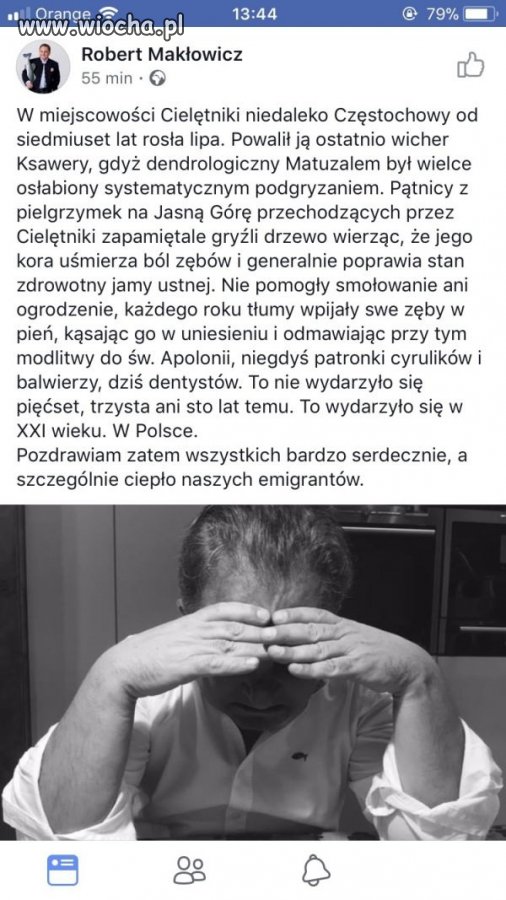 Cebulowe bobory