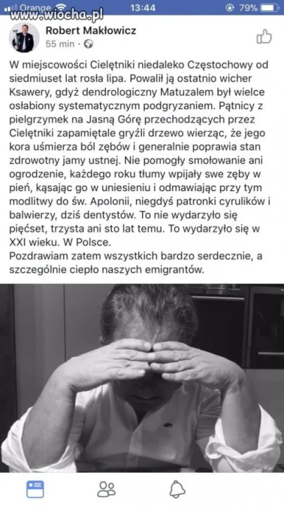 Cebulowe bobory