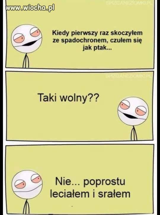 Jak ptak