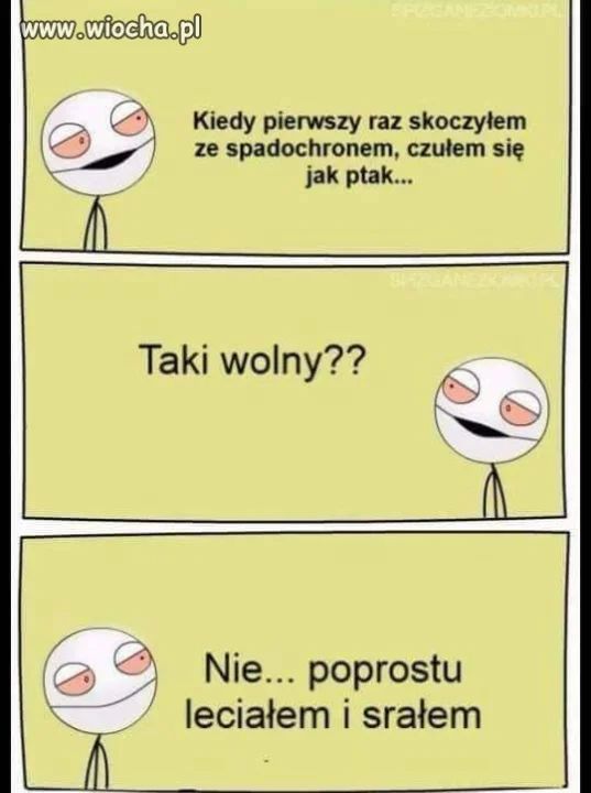 Jak ptak