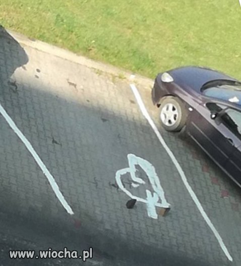 Pozdrawiam tego