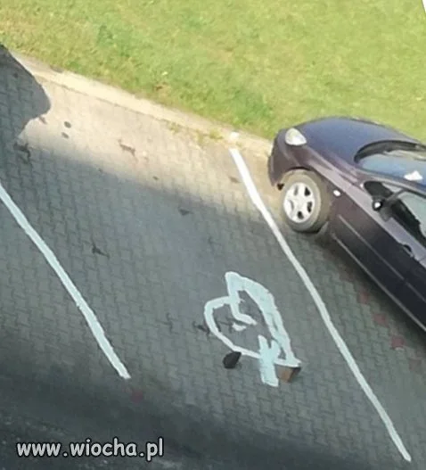 Pozdrawiam tego