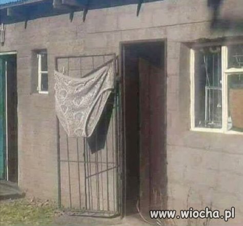 Weekend posłanki Krysi