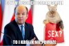 Królik nie pomoże