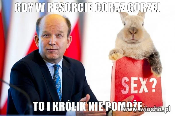 Królik nie pomoże