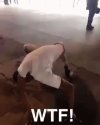 Zombie?