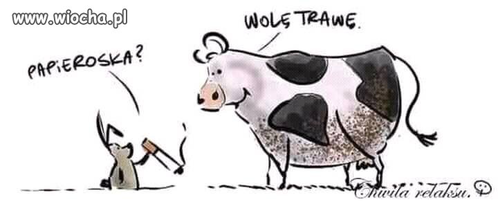Tymczasem na łące