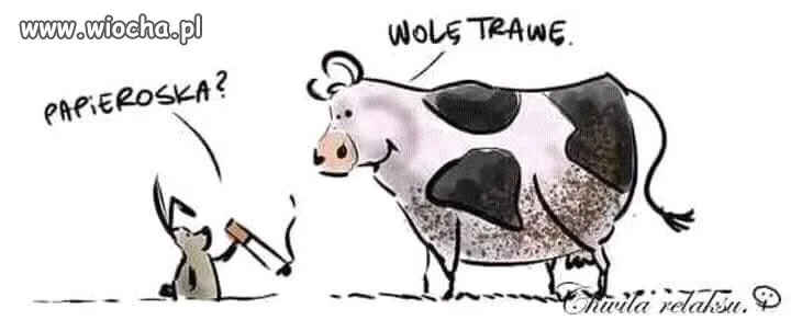 Tymczasem na łące