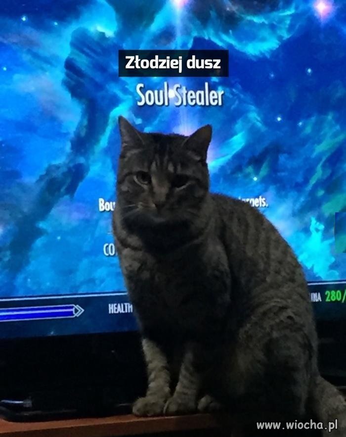 Chyba chce mi coś powiedzieć