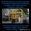 Normalność. 