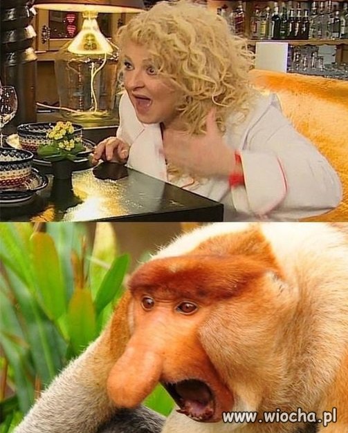 Znajdź różnicę