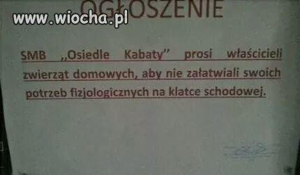 Nie masz psa możesz srać