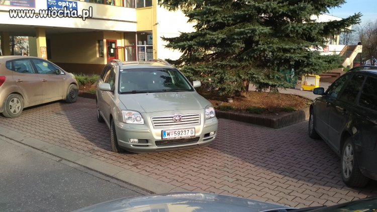 Mistrz parkowania