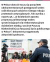 Demokracją po polsku