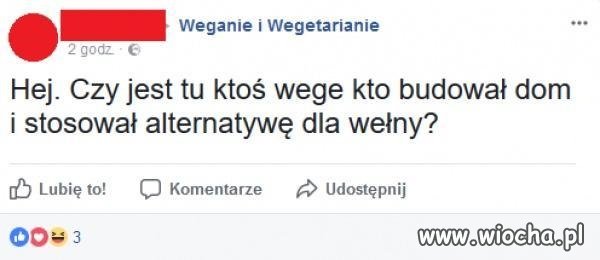 Wege to stan umysłu