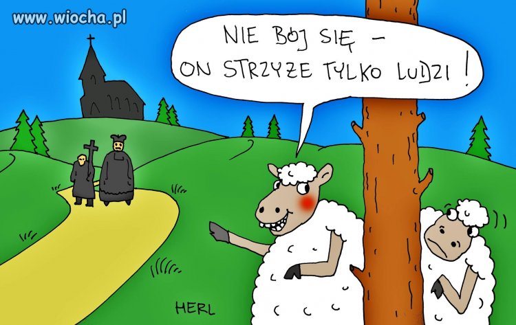 Fryzjer