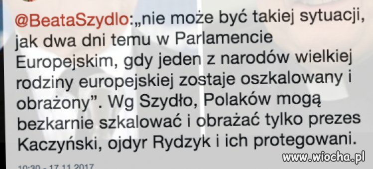 Wystarczy poczytać komentarze protegowanych