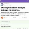 Rower