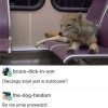 Przecież to logiczne