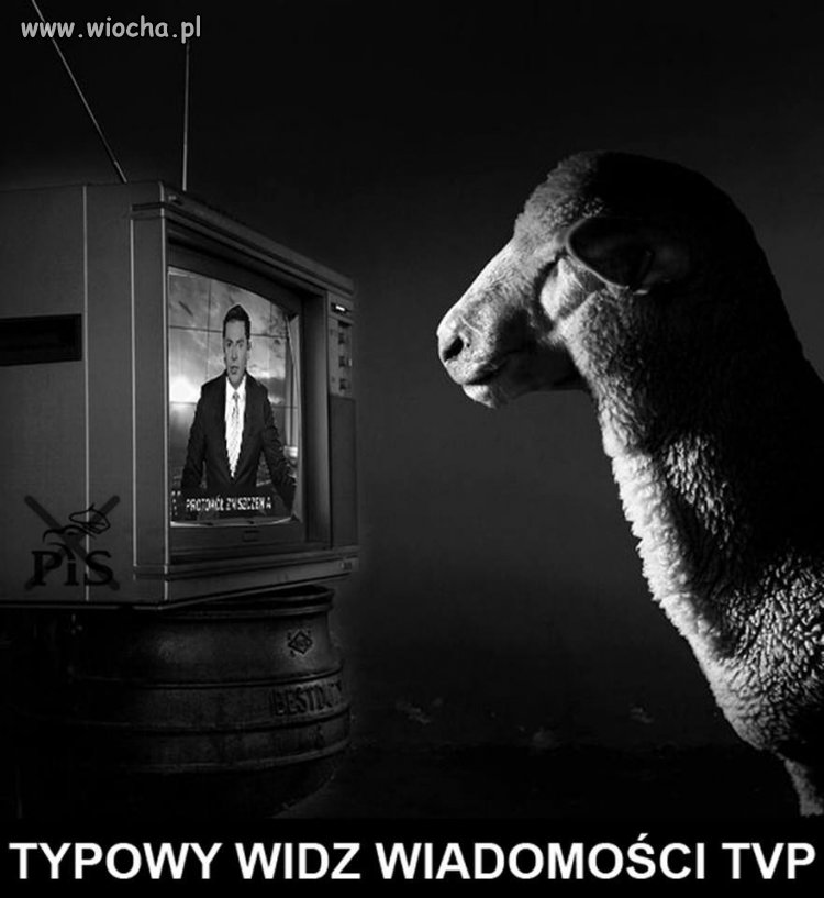 Telewidz pewnej stacji