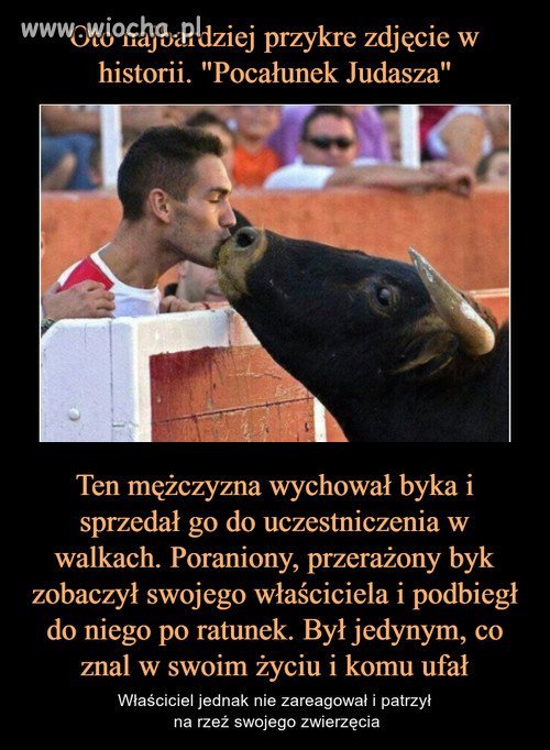"Pocałunek Judasza"