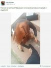 Ajtuj ..za dużo razów na głowę zebrał