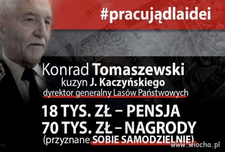 Nikt cię tak nie doceni