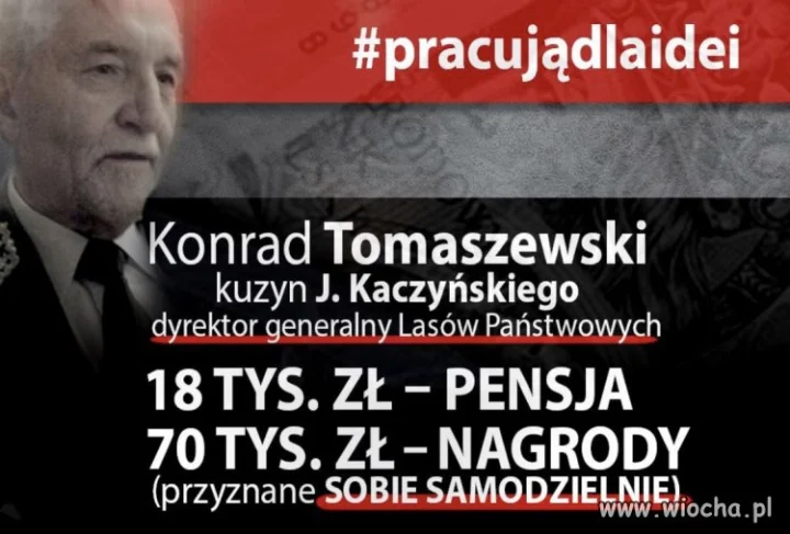 Nikt cię tak nie doceni
