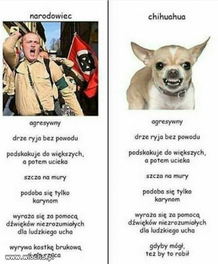 Świątecznie