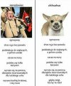 Świątecznie