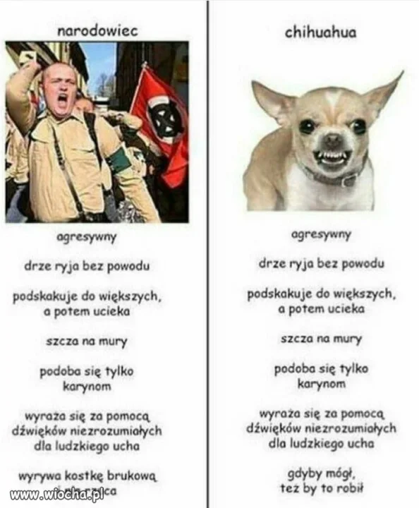Świątecznie