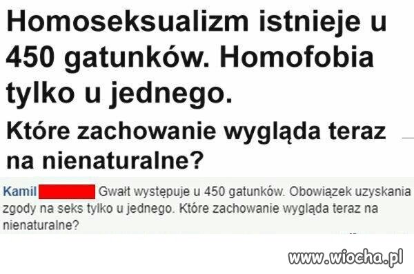 Homofobia