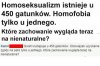 Homofobia