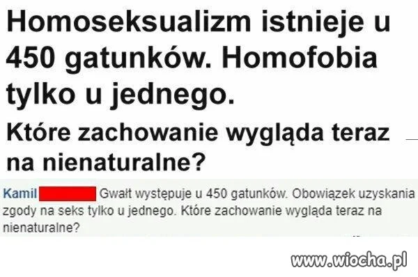 Homofobia