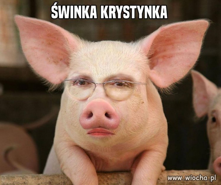 Kryświnka