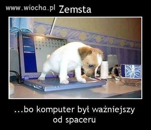 Zemsta