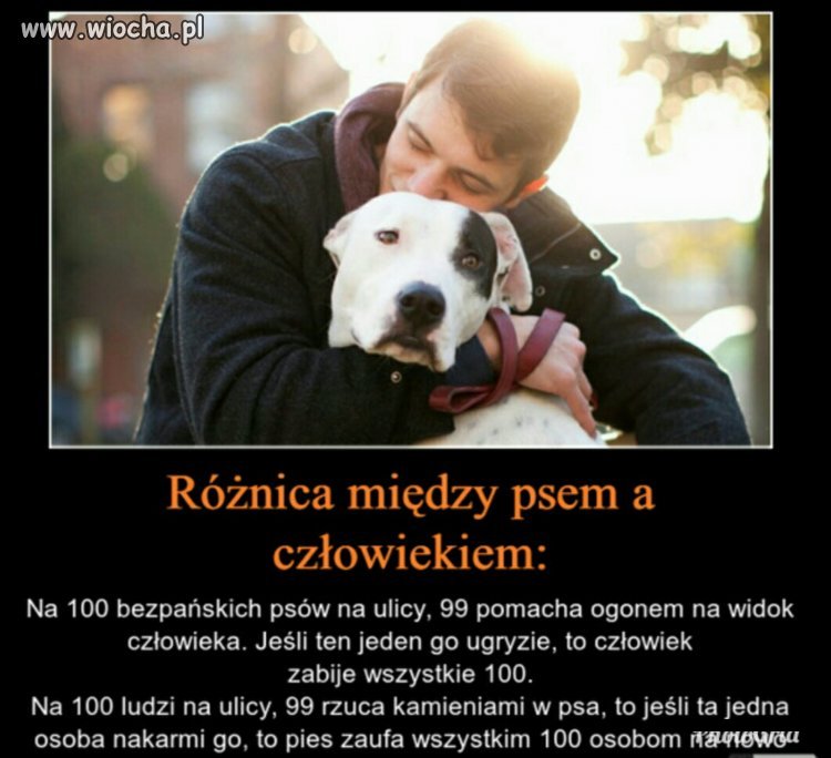 Definicja człowieczeństwa