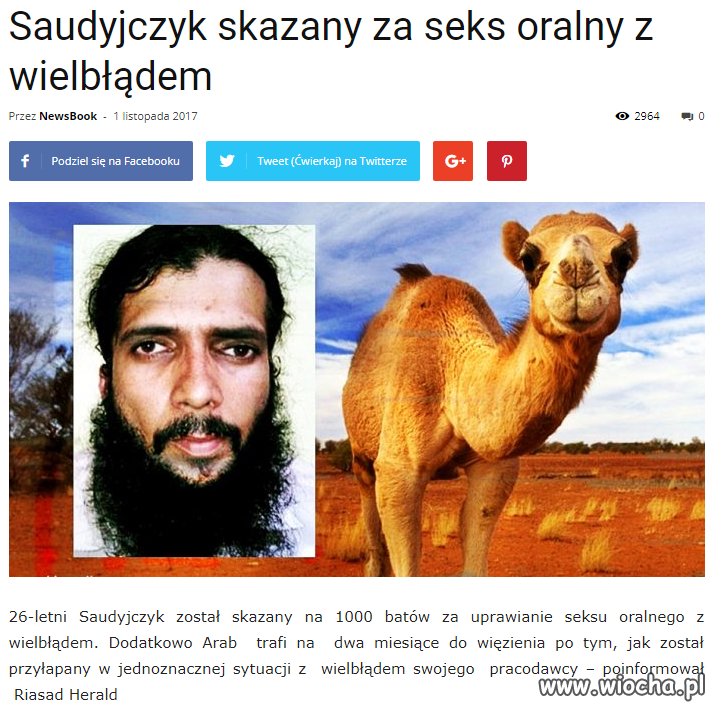 A gdy jesteś tak brzydki że nie chce cie żadna kobieta