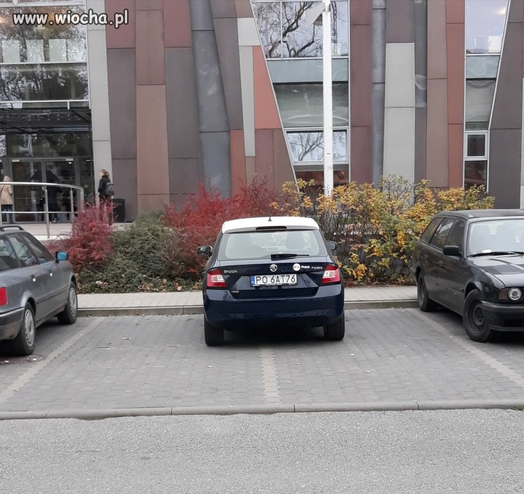 Tak parkuje firma OLX praca
