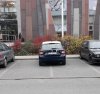 Tak parkuje firma OLX praca
