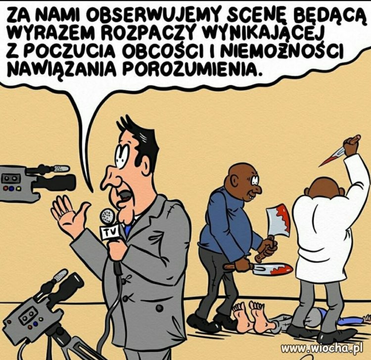 Poprawność polityczna 