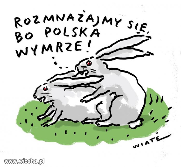 Partia nakazuje to trza se królika sprawić