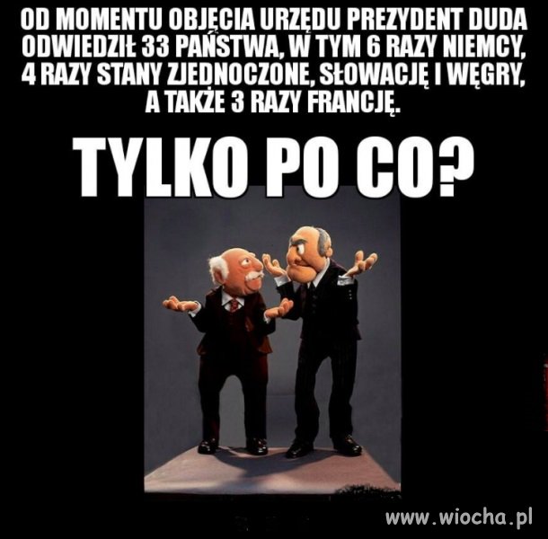 Niestrudzony pielgrzym