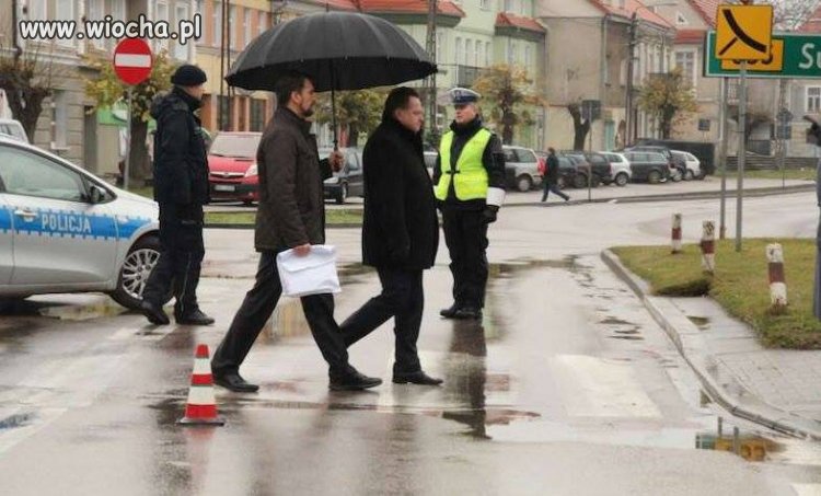 Jego Wysokość tow. minister