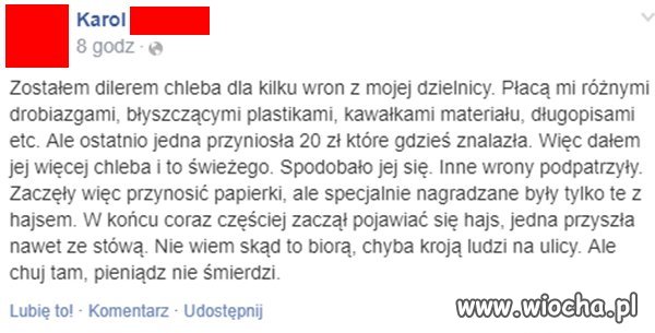 Diler