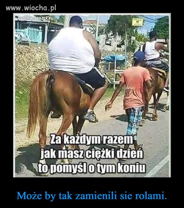I tylko konia żal